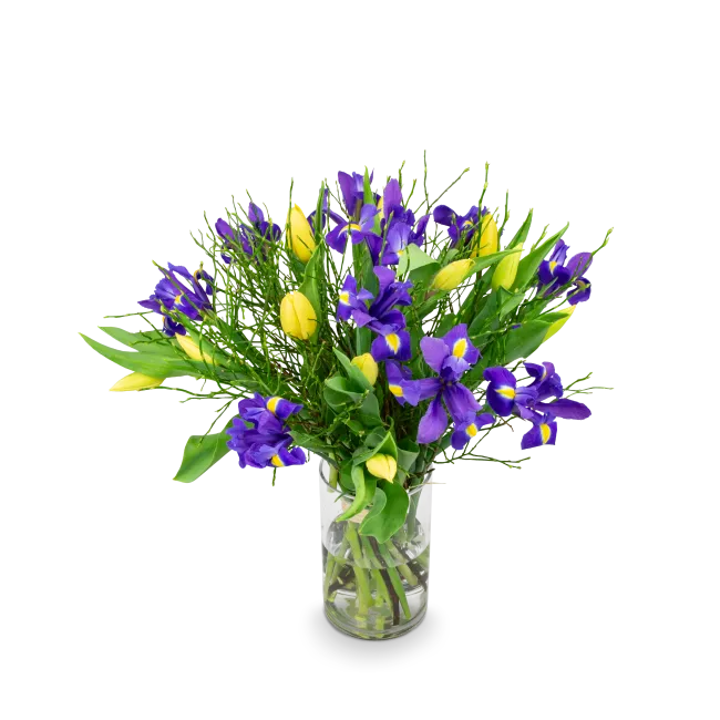 Bouquet of spring flowers
